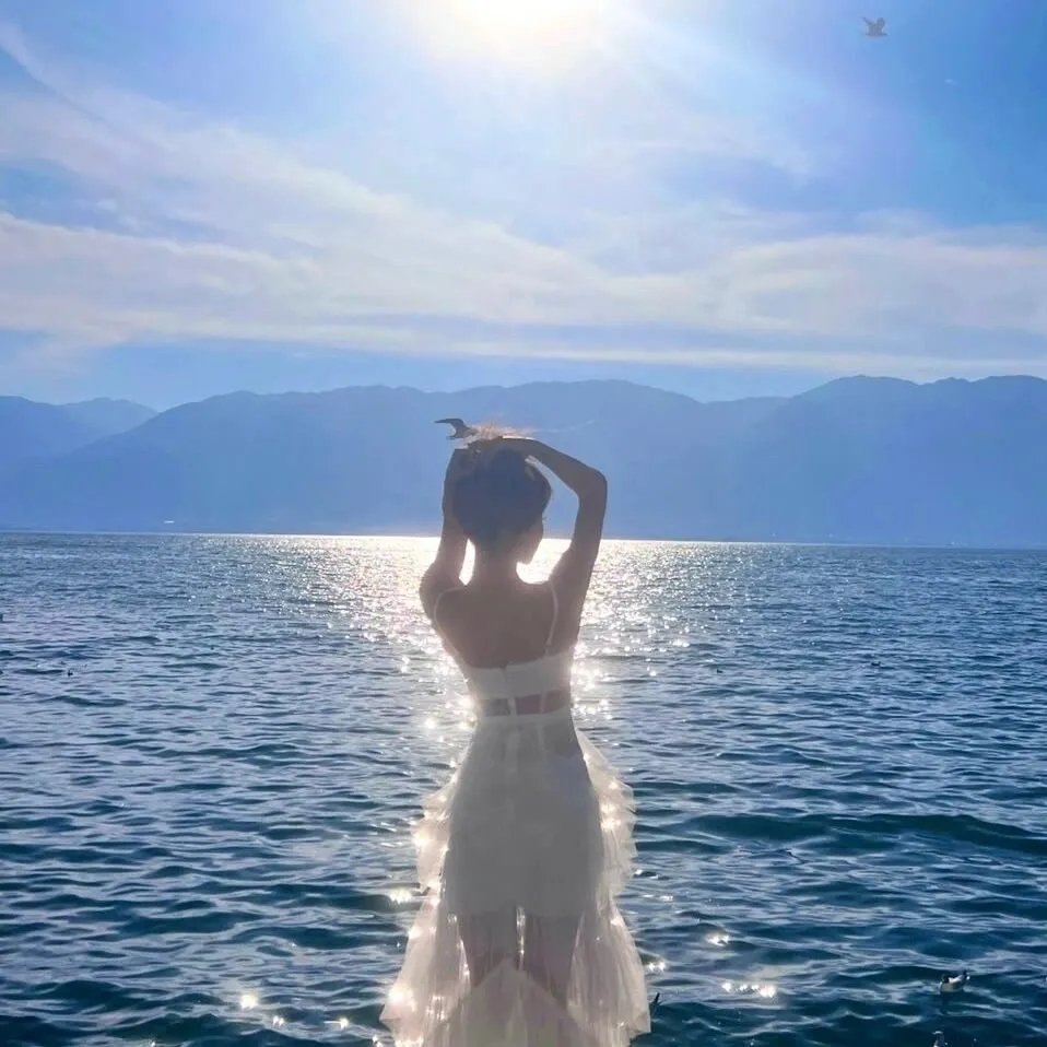 二龙湖浩哥之风云再起